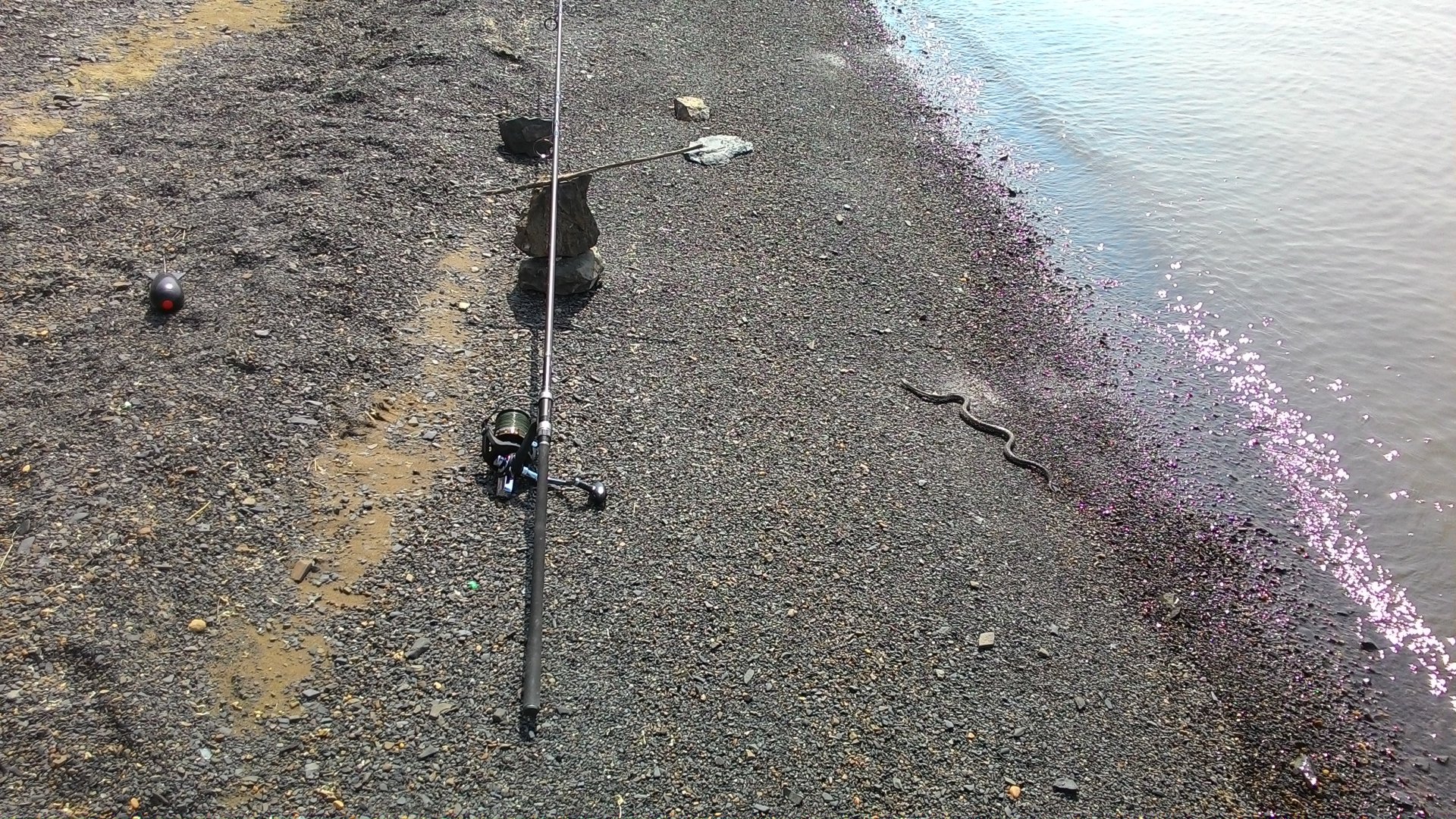 P_20150831_131124.jpg