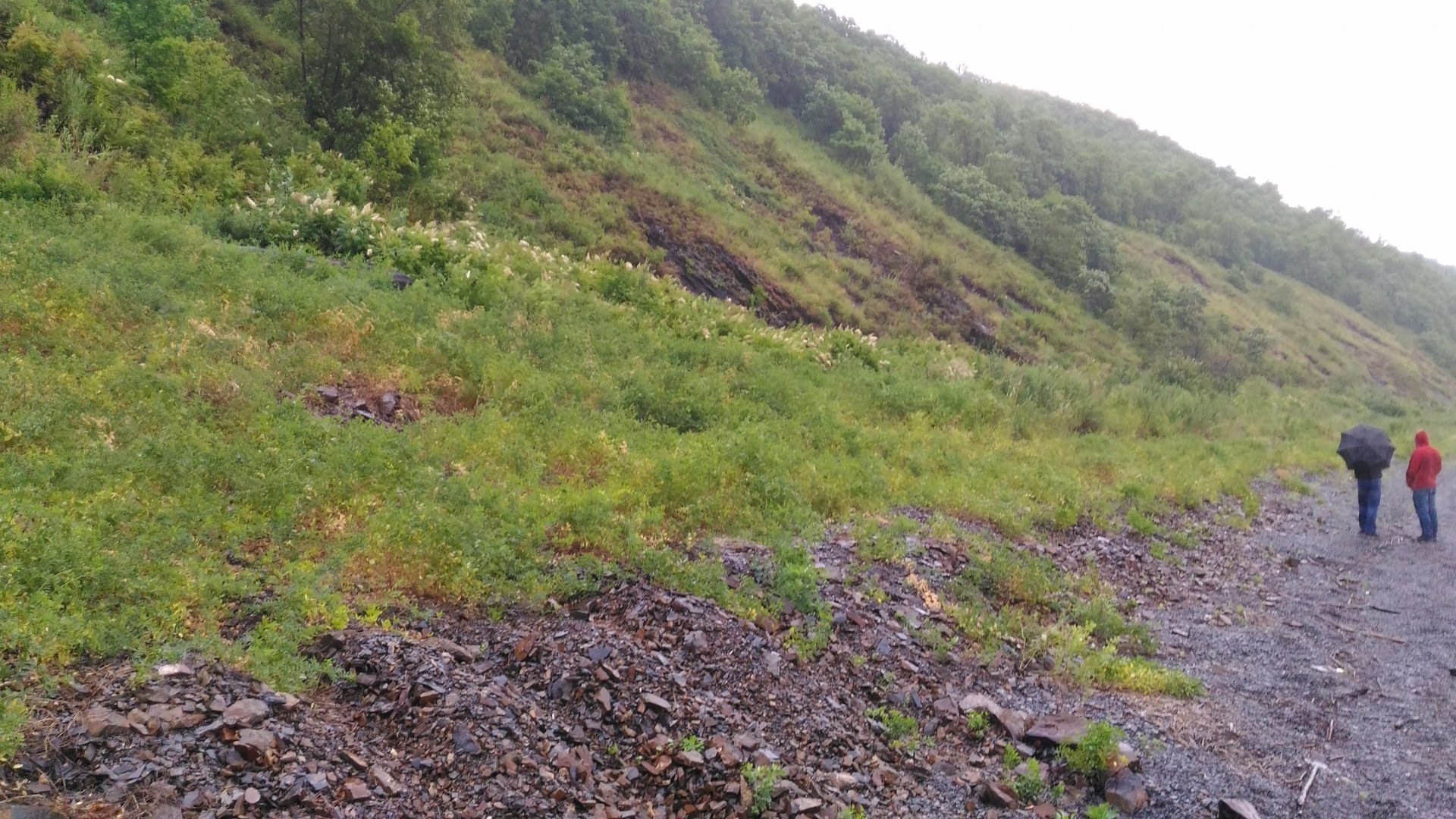 P_20160714_183134.jpg