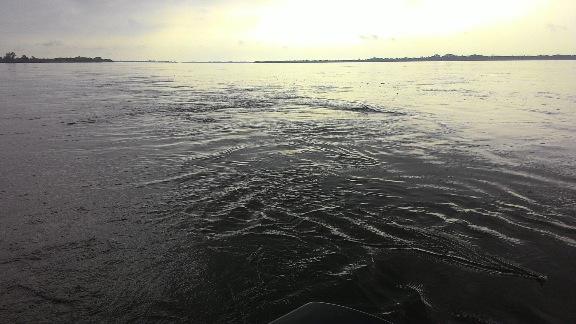 P_20160730_081444.jpg