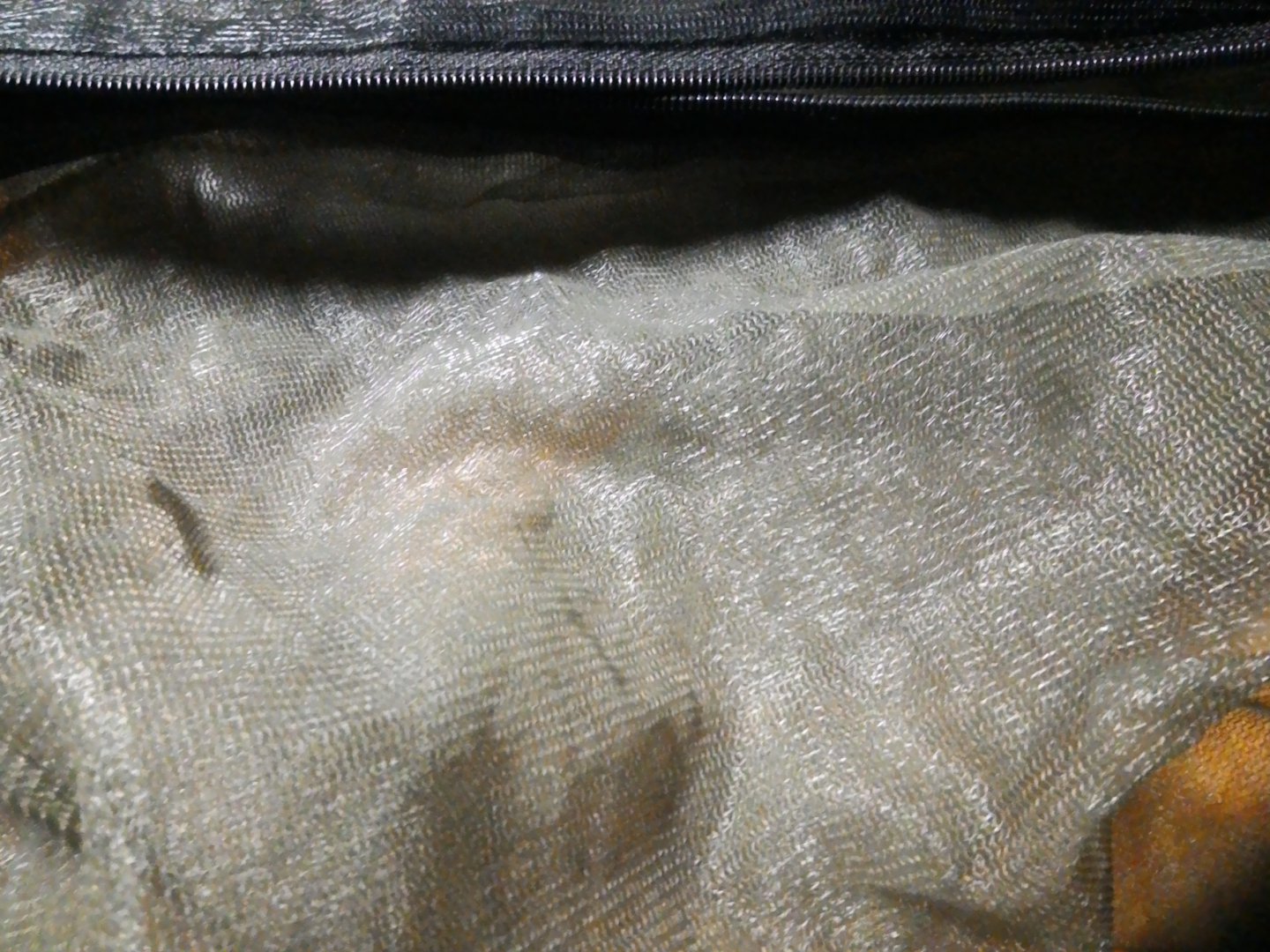 P_20170626_191739.jpg