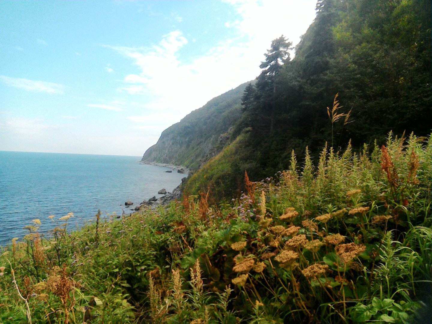 P_20170819_161704.jpg