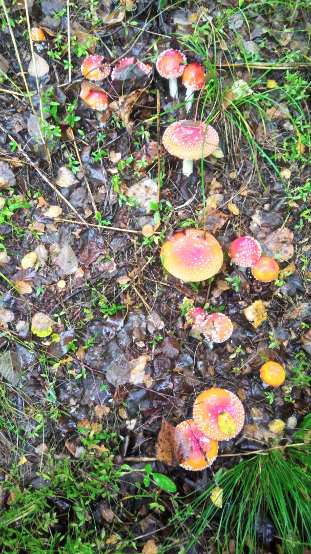 P_20170913_112329_HDR.jpg
