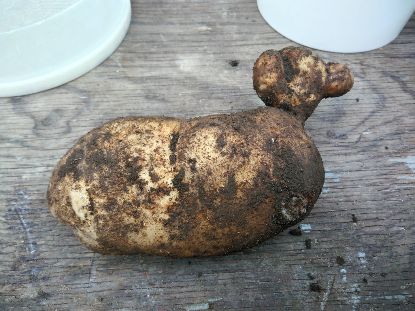 P_20170917_134500_HDR.jpg P_20170917_134500_HDR.jpg