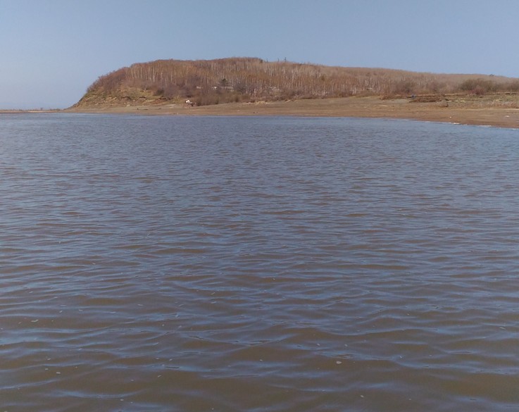 P_20180508_102320.jpg