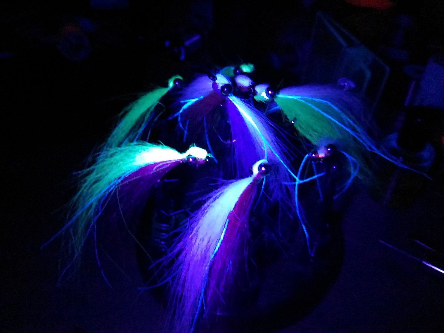 P_20180803_225919_LL.jpg