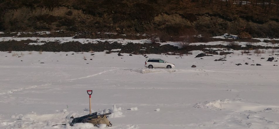 P_20190316_124943.jpg