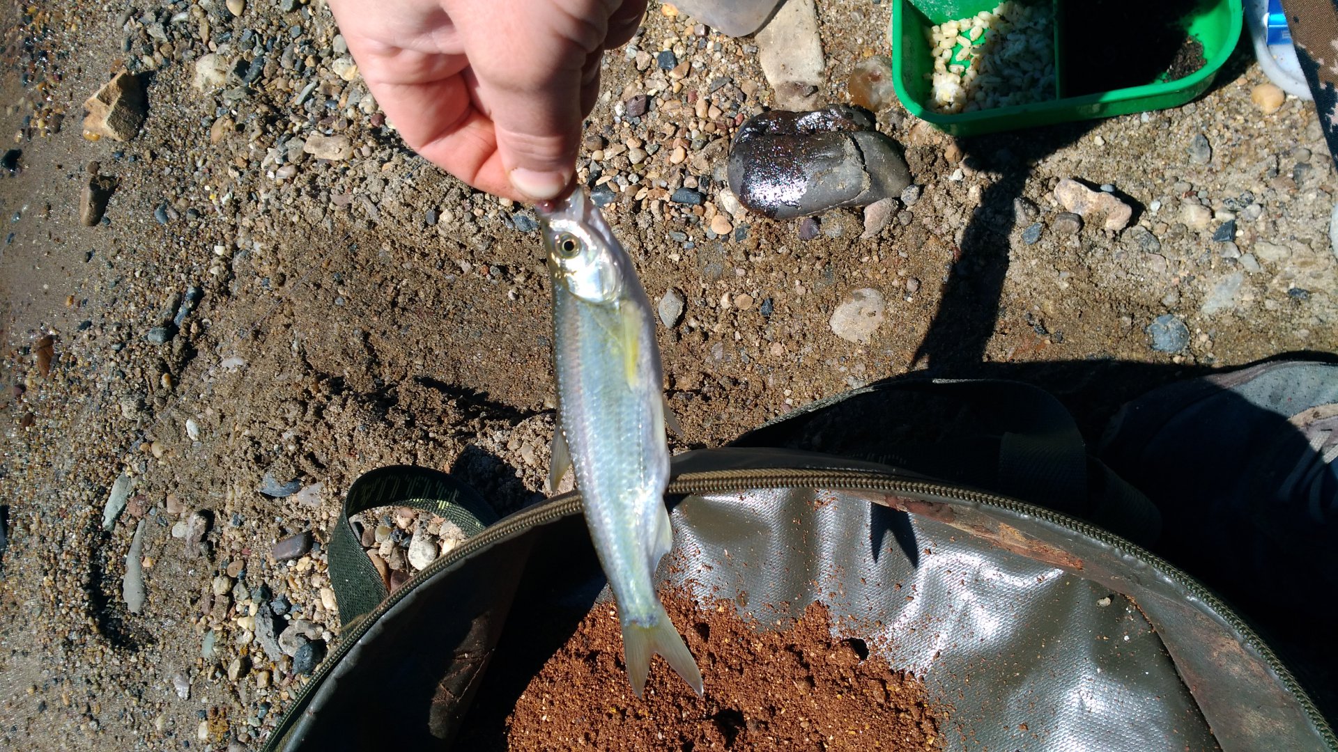 P_20190426_132839.jpg