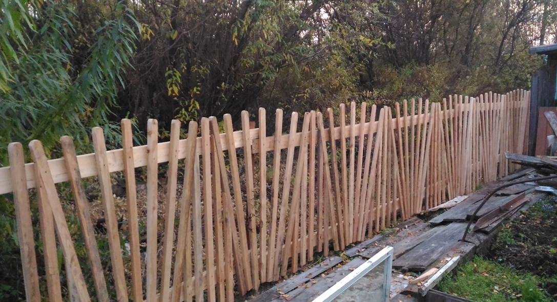 P_20200930_183607.jpg P_20200930_183607.jpg