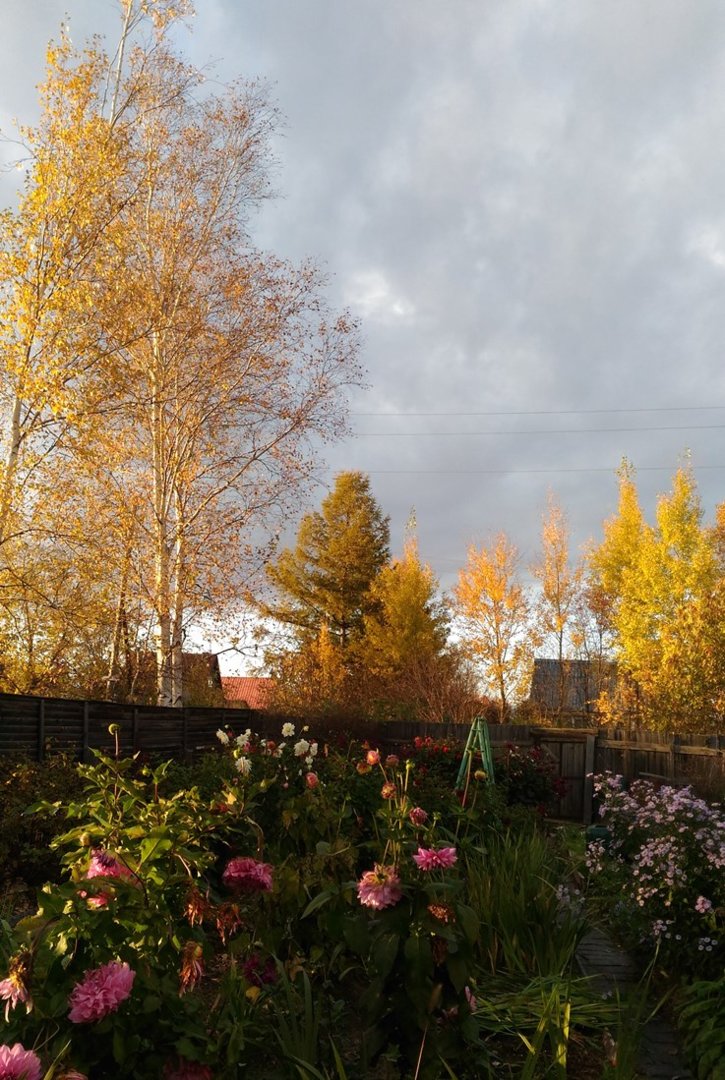 P_20201006_173228.jpg P_20201006_173228.jpg