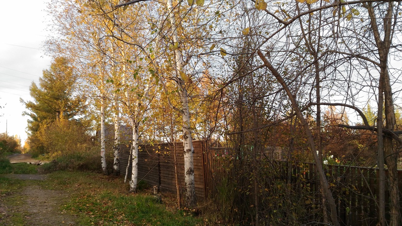 P_20201006_173315.jpg P_20201006_173315.jpg