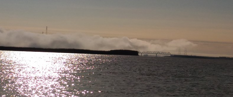 P_20201107_110818.jpg