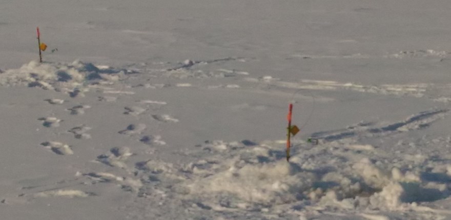 P_20210224_092533.jpg