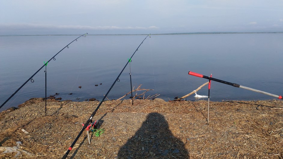 P_20210706_071606.jpg P_20210706_071606.jpg