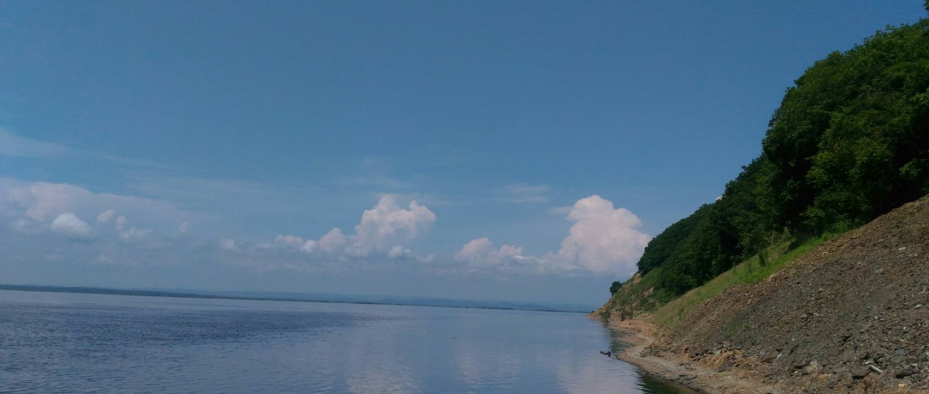 P_20210706_120829_1.jpg P_20210706_120829_1.jpg