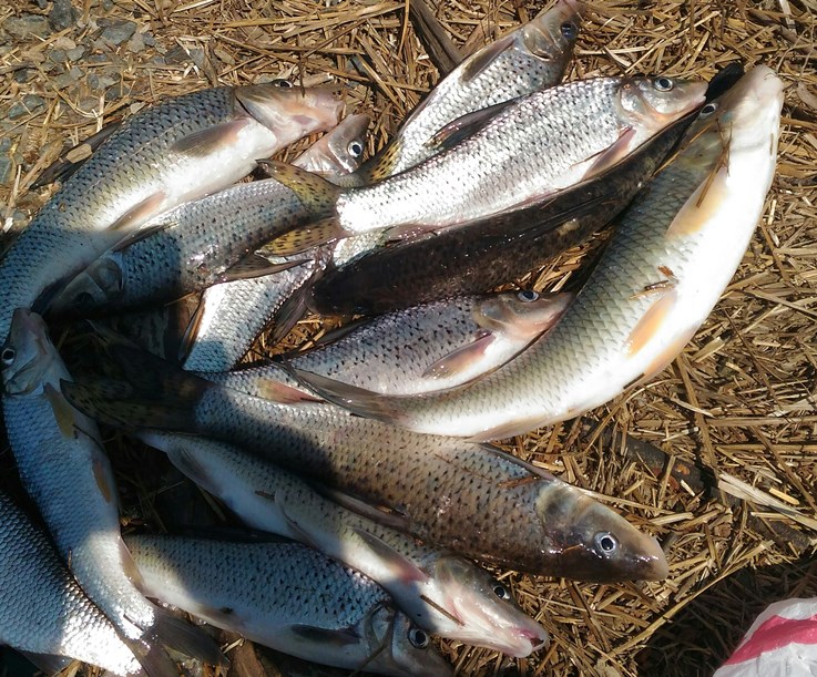 P_20210706_122751_1.jpg P_20210706_122751_1.jpg