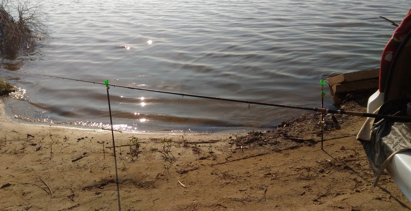 P_20220701_075520.jpg P_20220701_075520.jpg