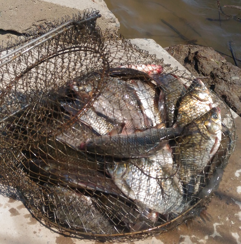 P_20220701_120628.jpg P_20220701_120628.jpg