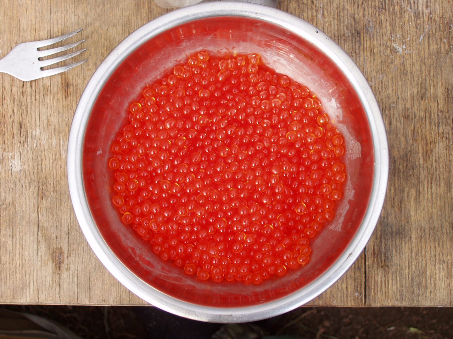 PA032550.JPG