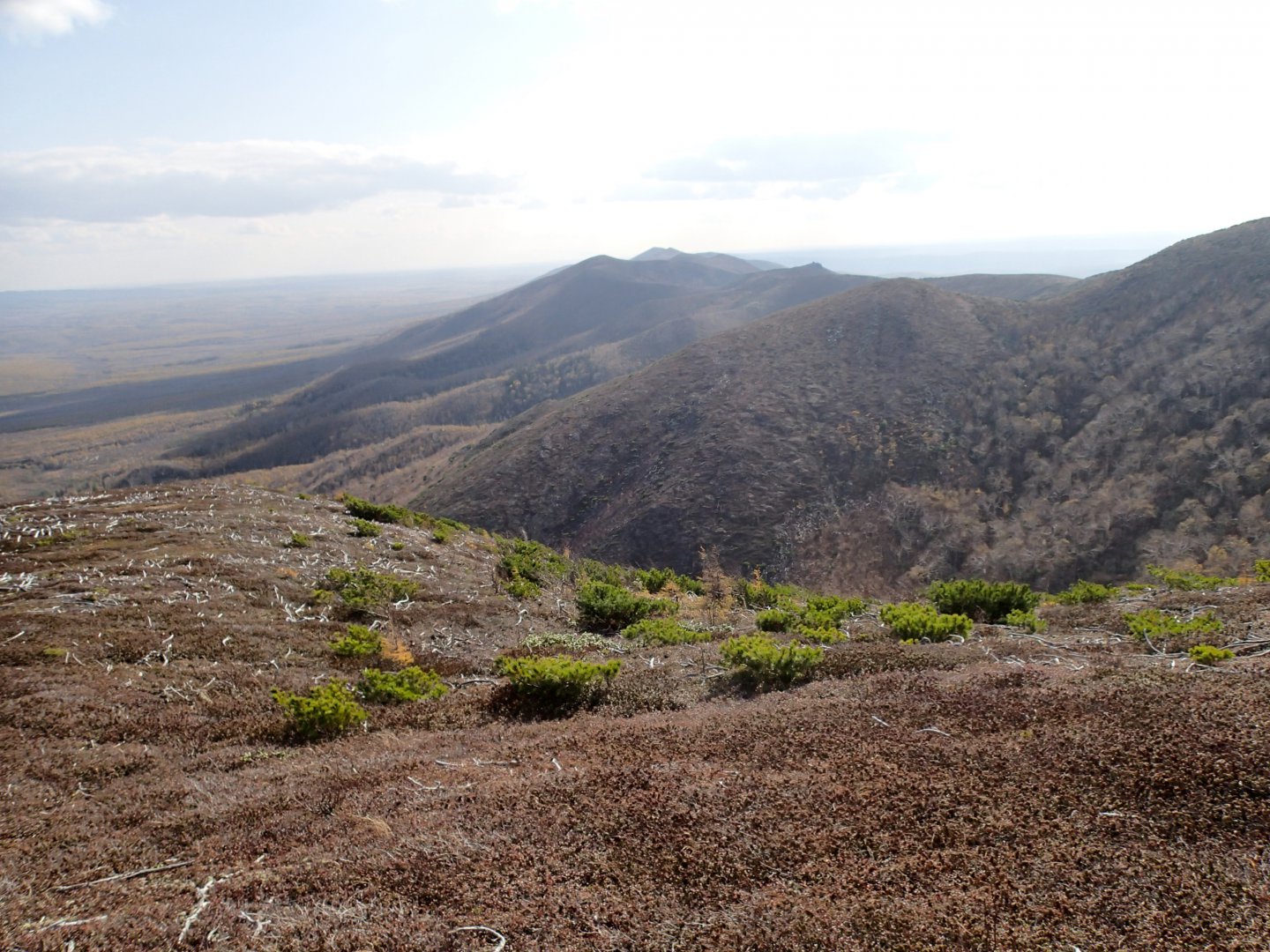 PA038562.JPG