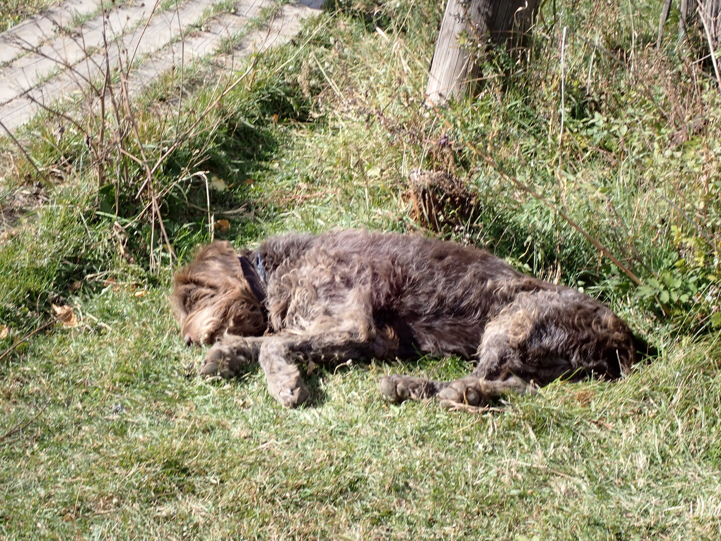 PA080212.JPG