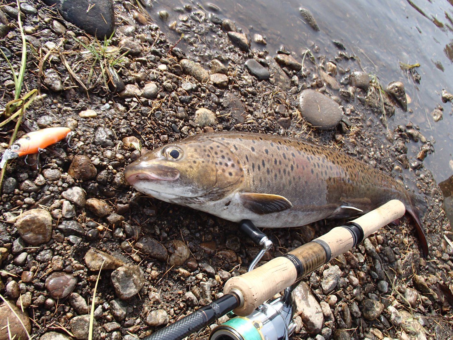 PA080243.JPG