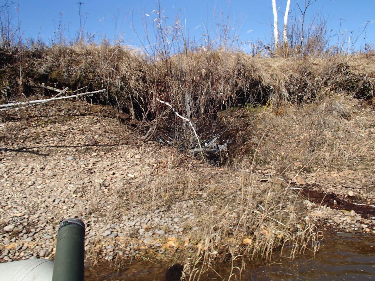 PA100308.JPG