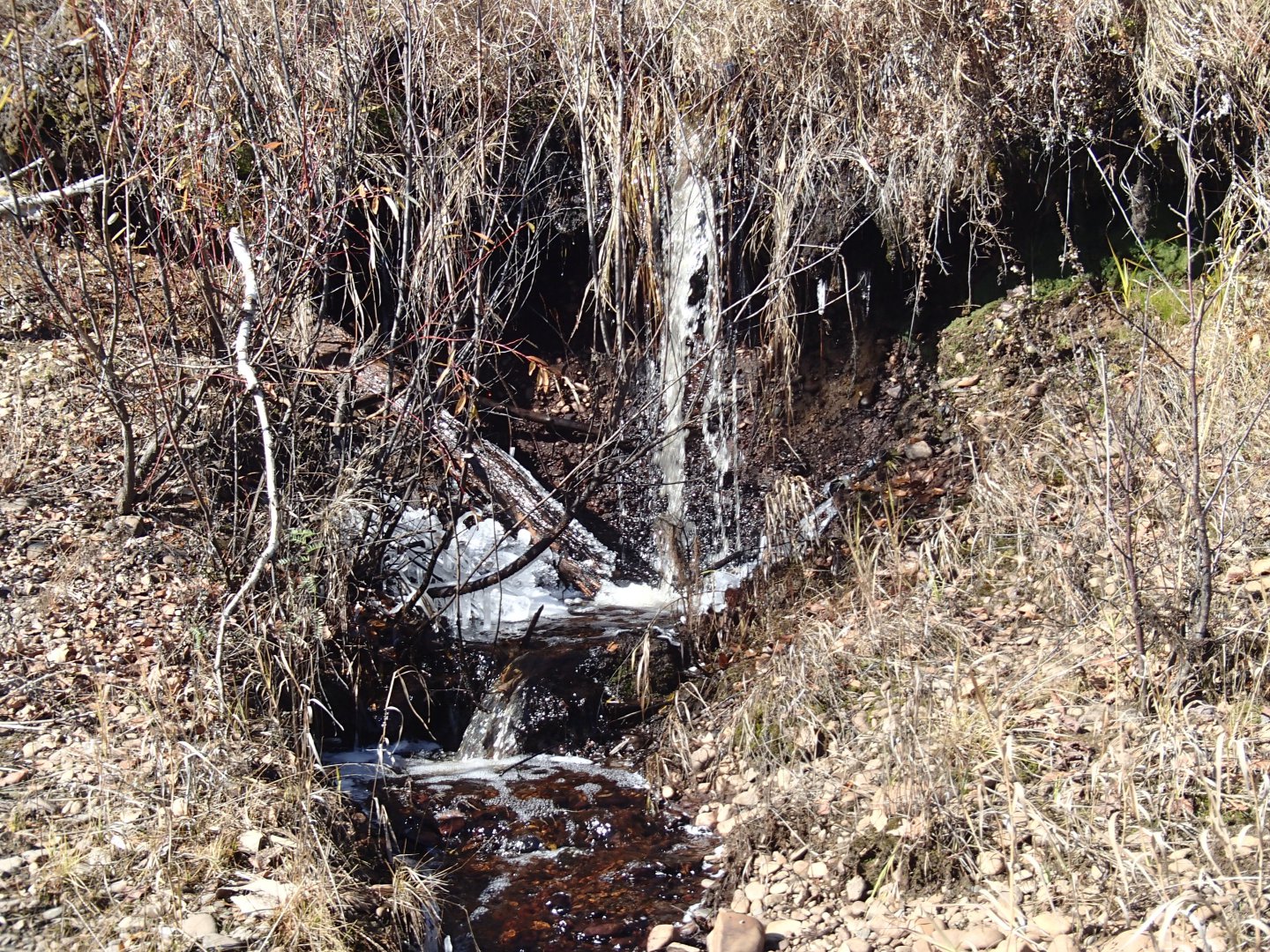 PA100310.JPG