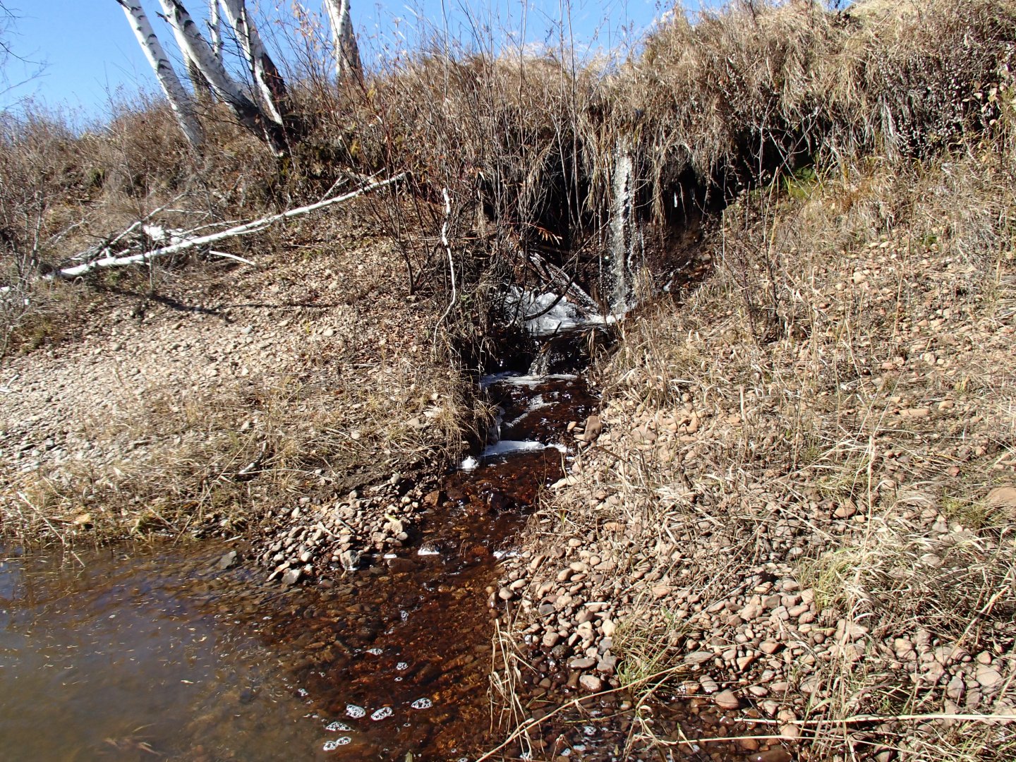 PA100311.JPG