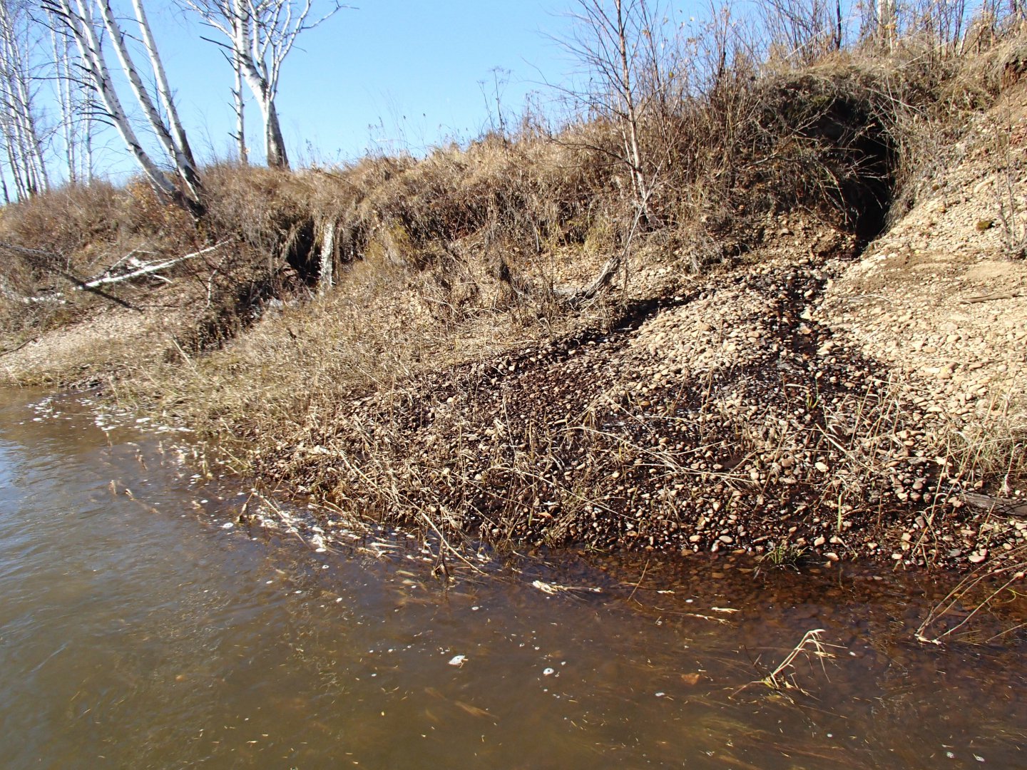 PA100312.JPG