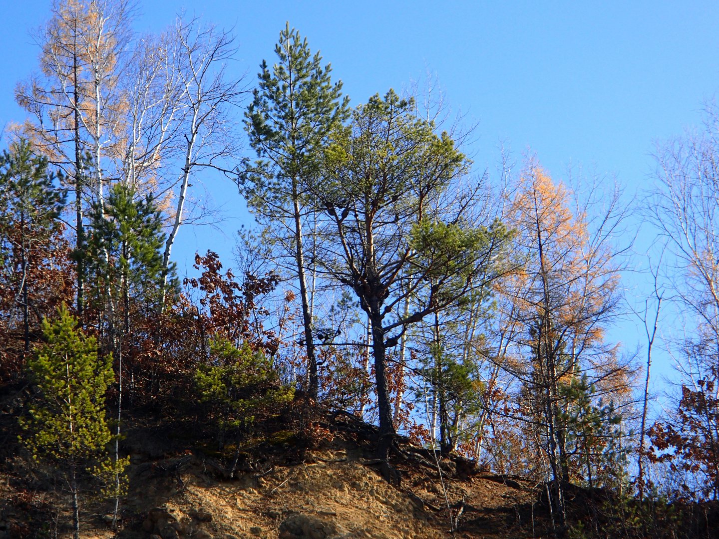 PA100316.JPG