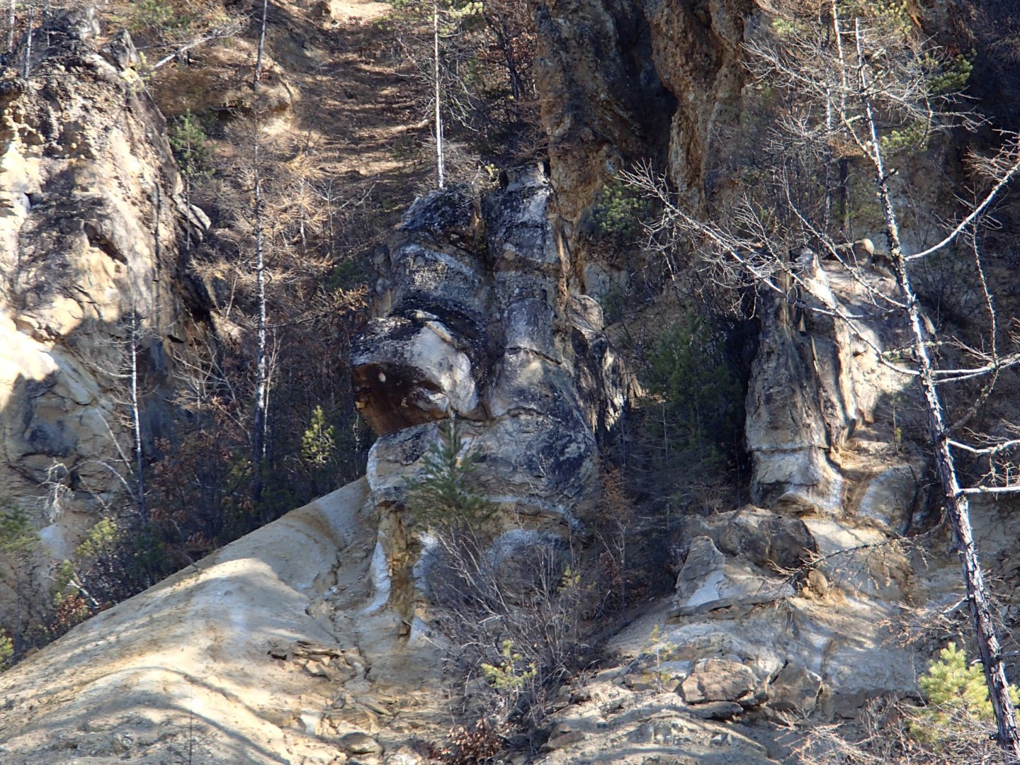 PA100320.JPG