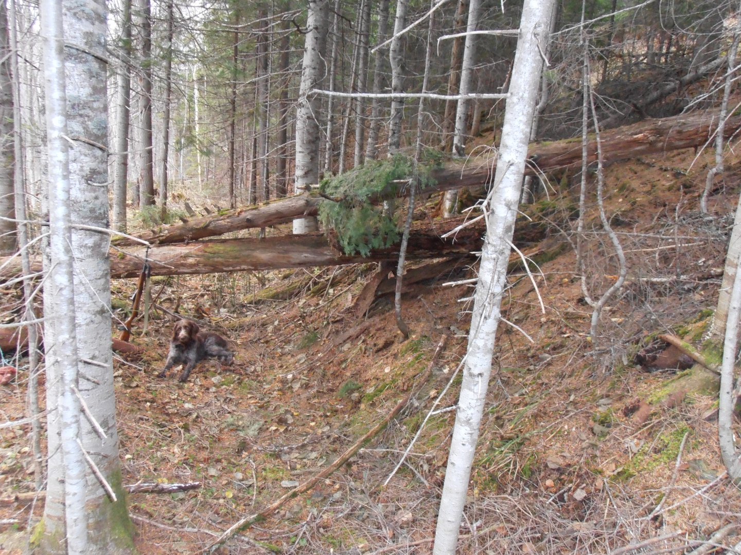 PA140497.JPG