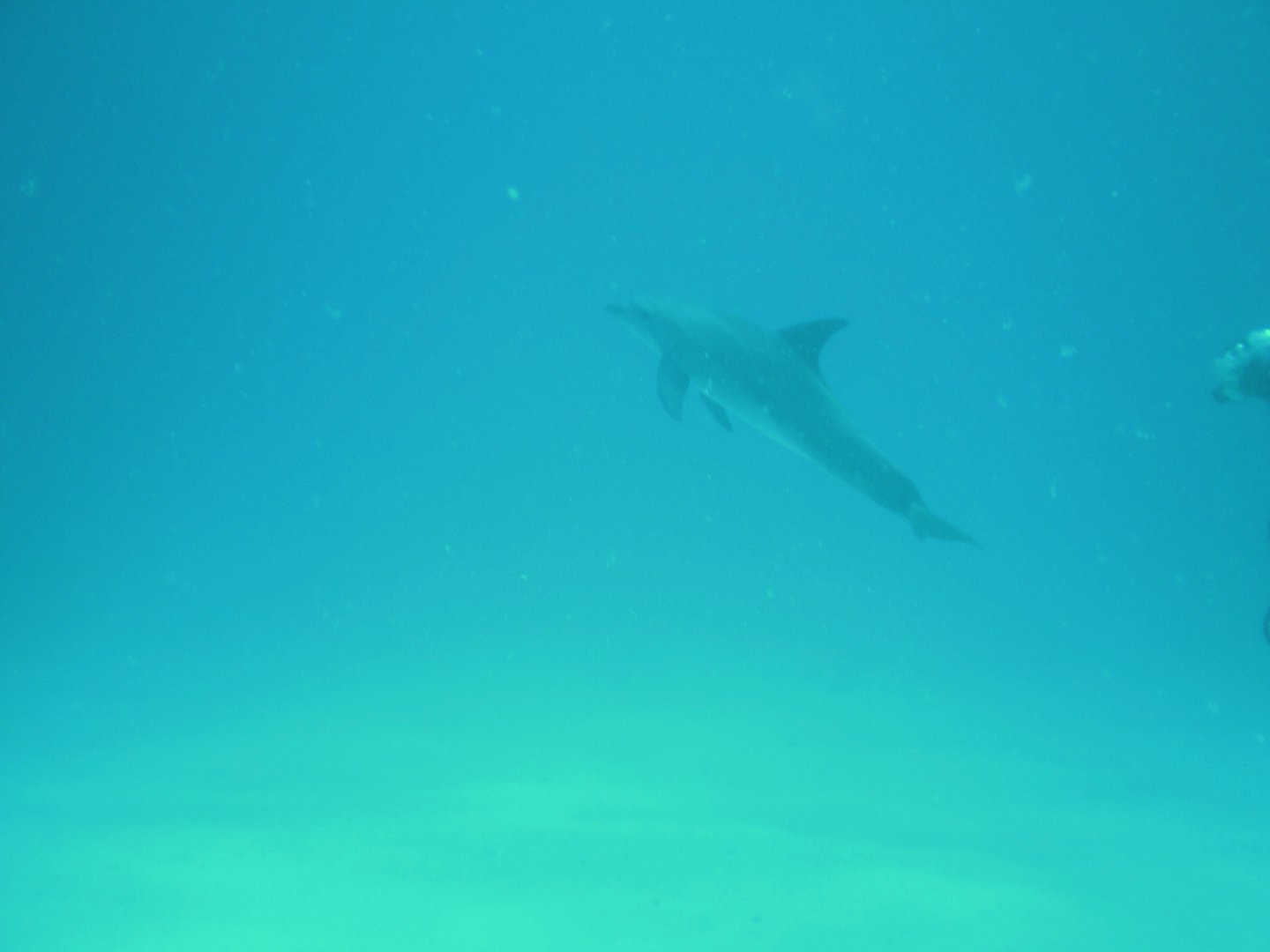 PA160358.JPG