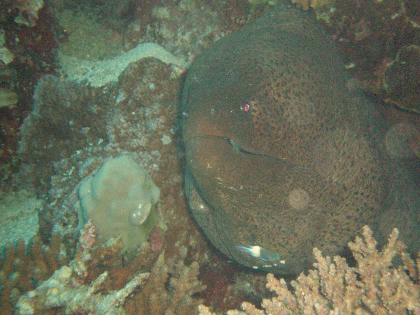 PA170020.JPG