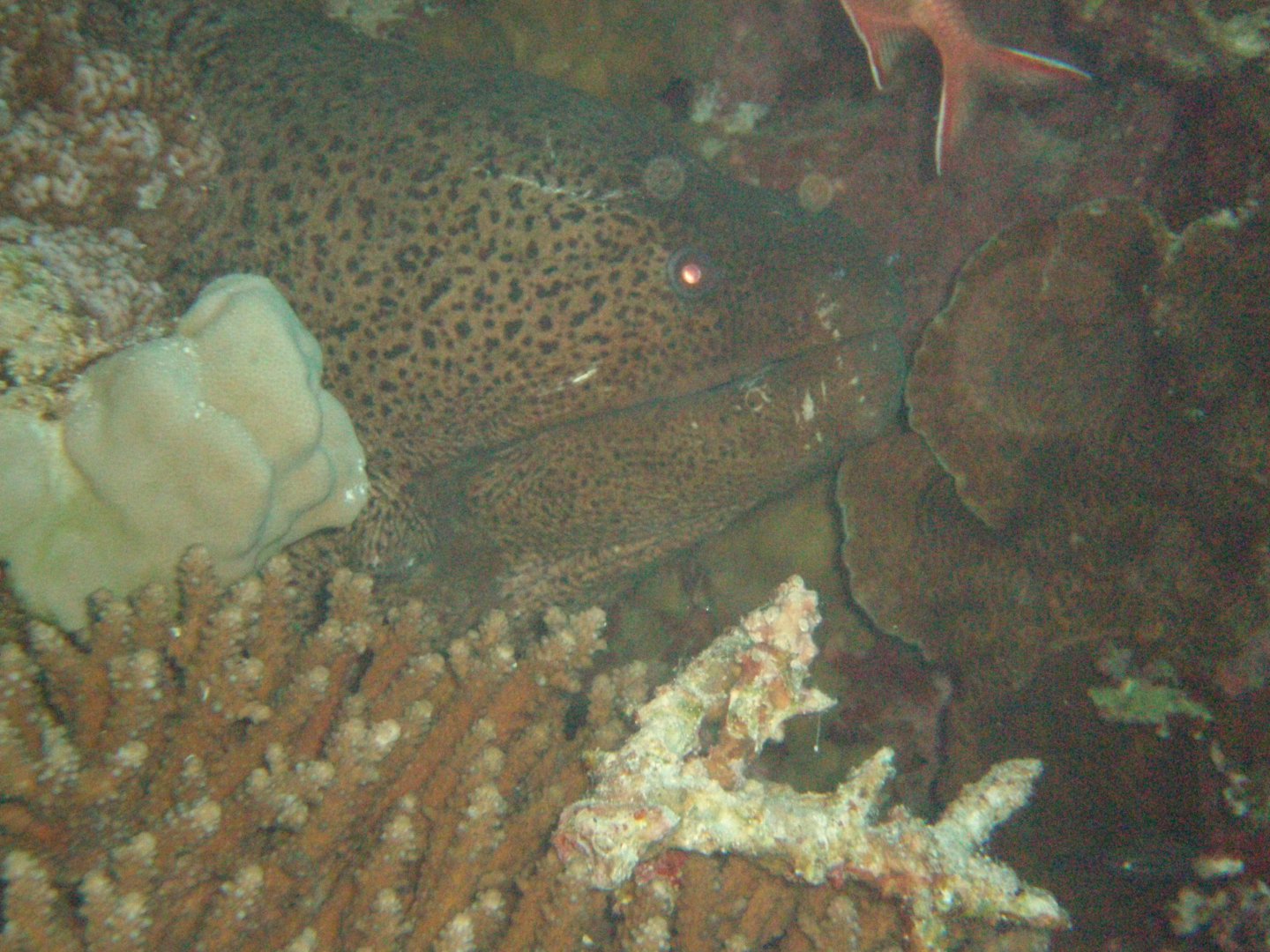 PA170023.JPG