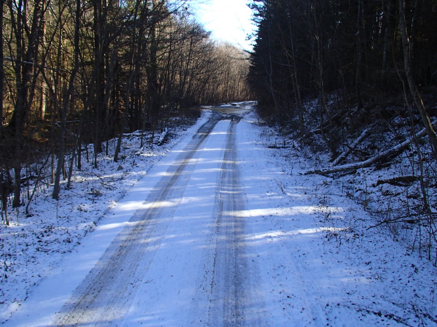 PA170341.JPG