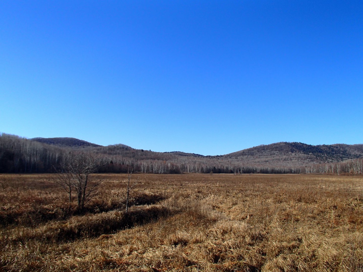 PA170347.JPG