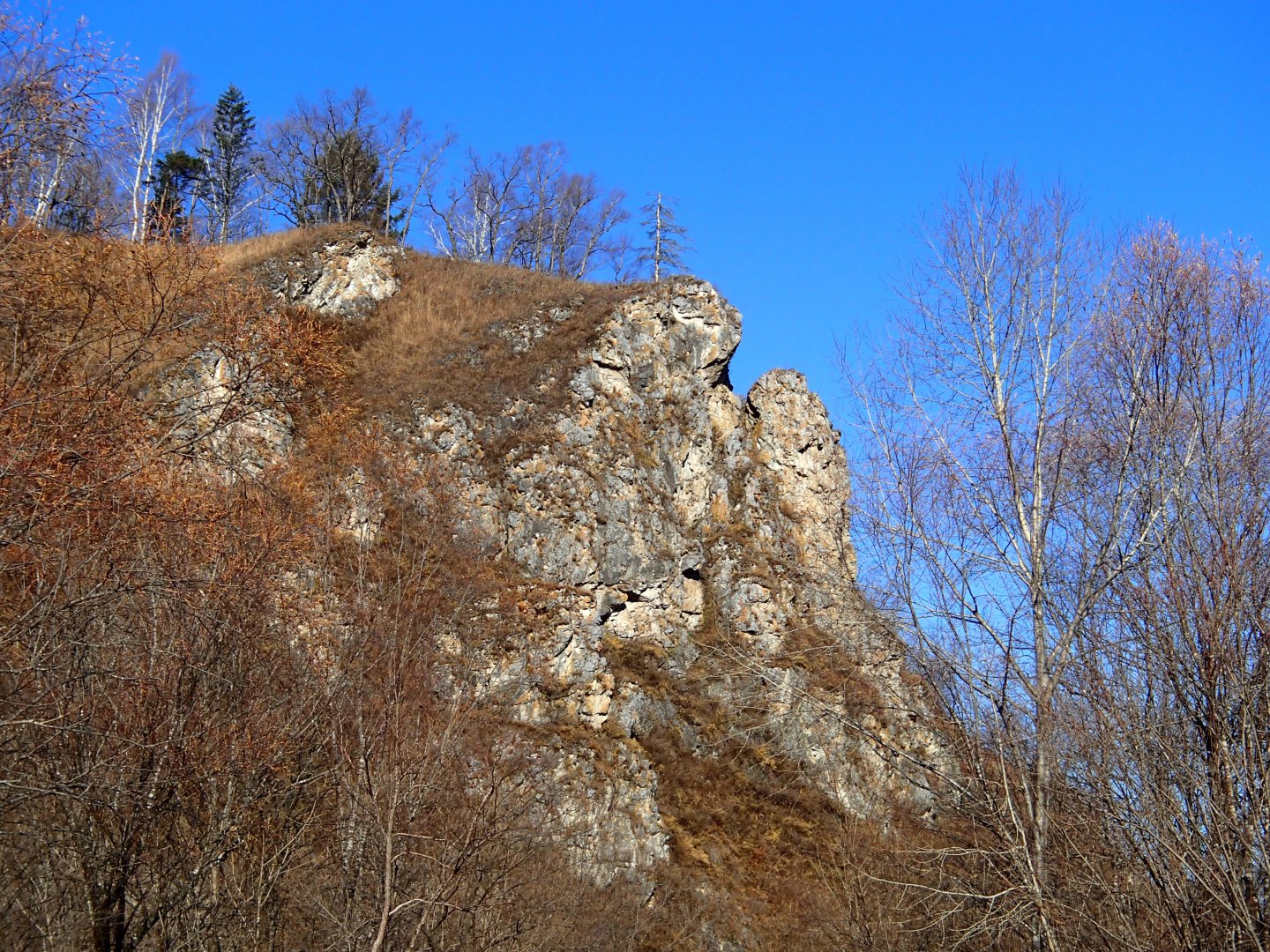 PA170348.JPG