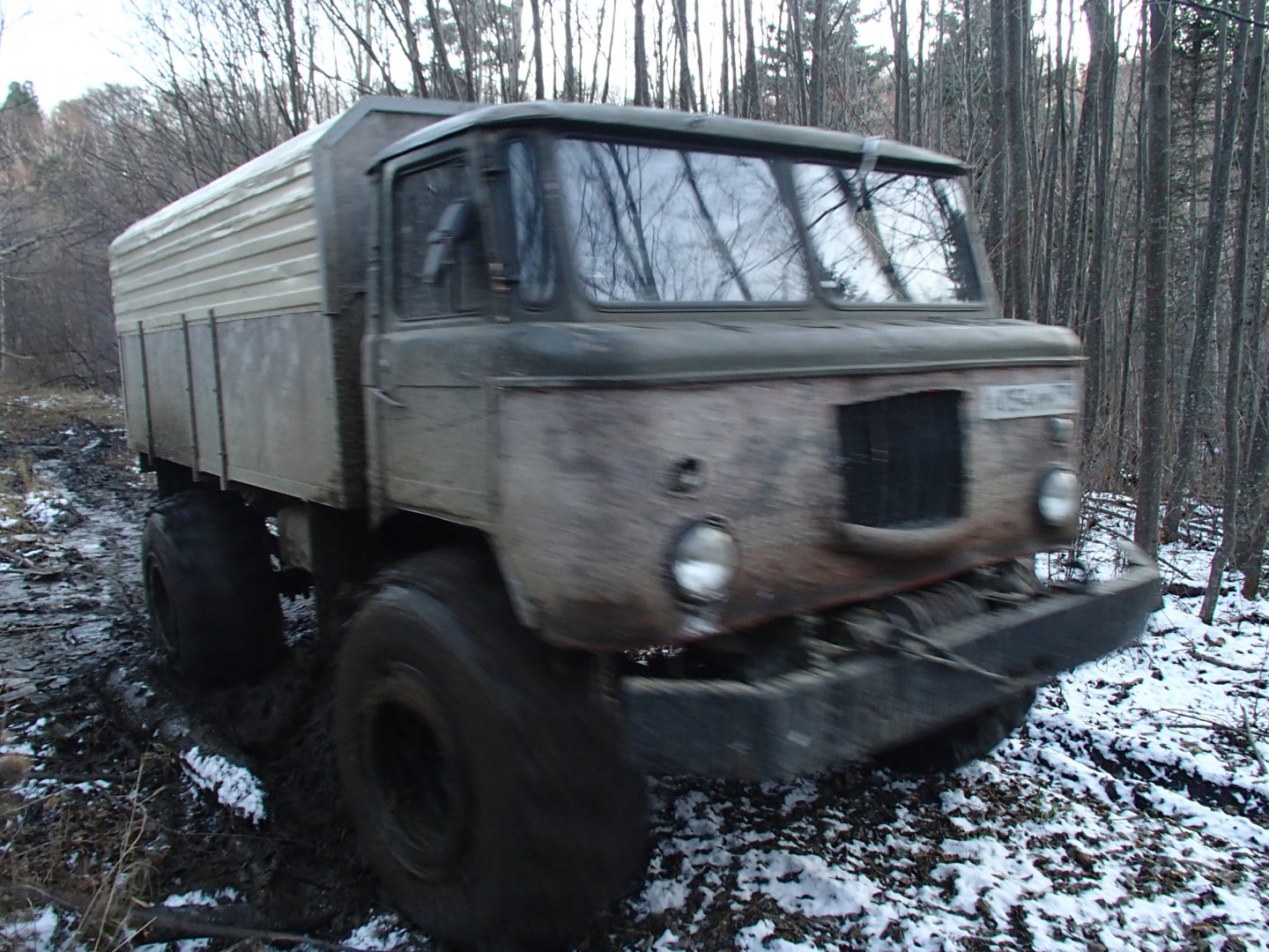 PA170362.JPG