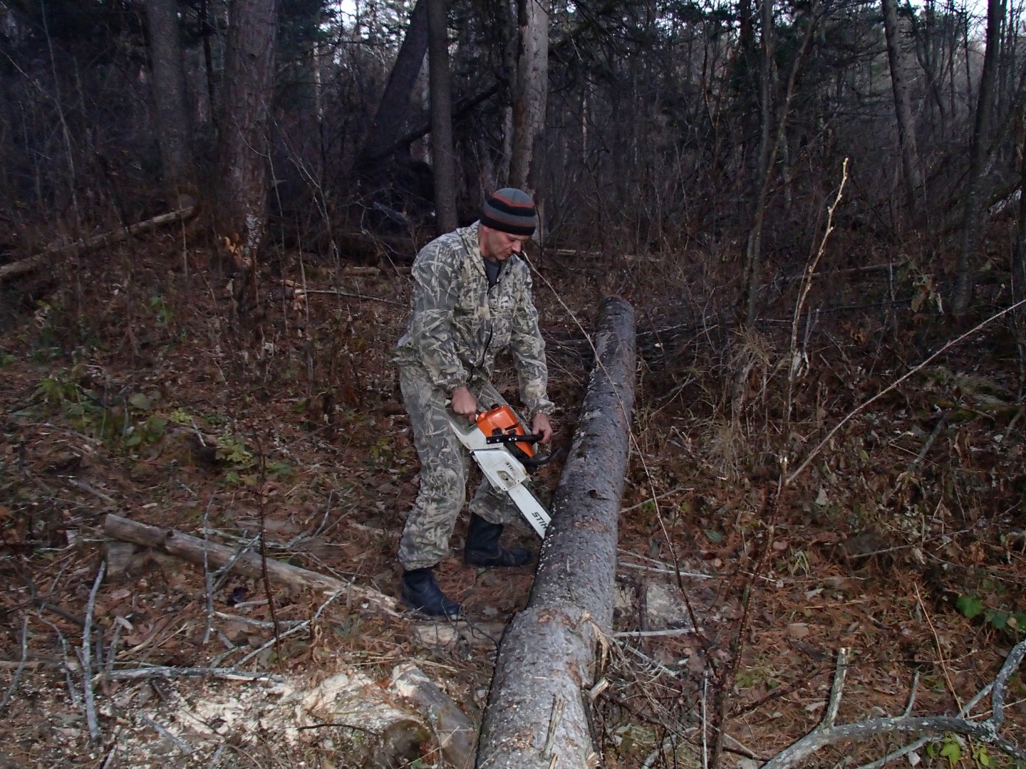 PA170373.JPG