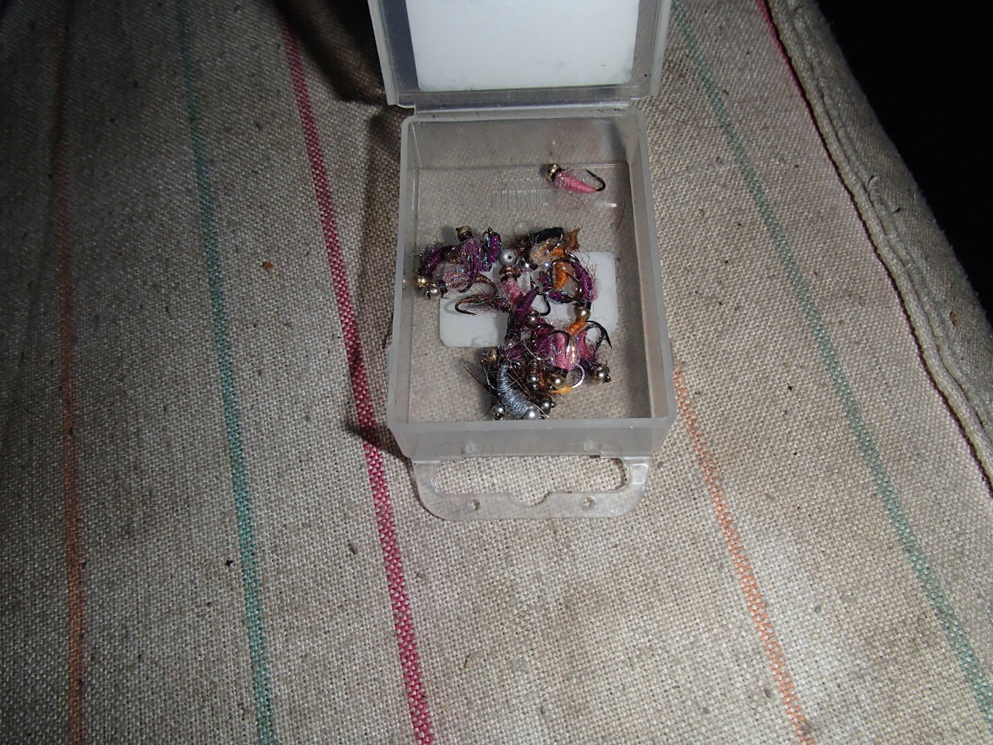 PA180375.JPG