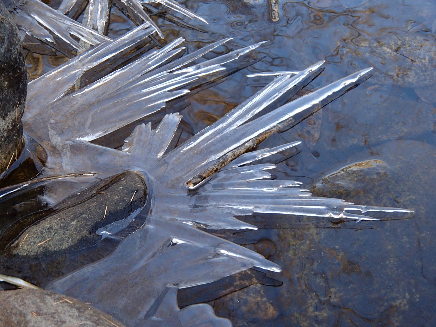 PA180377.JPG