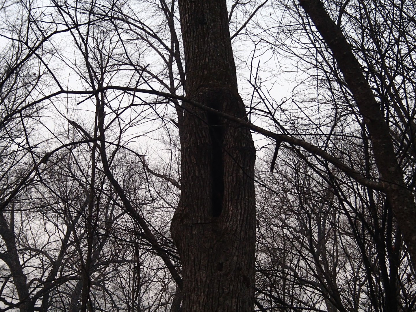 PA190395.JPG