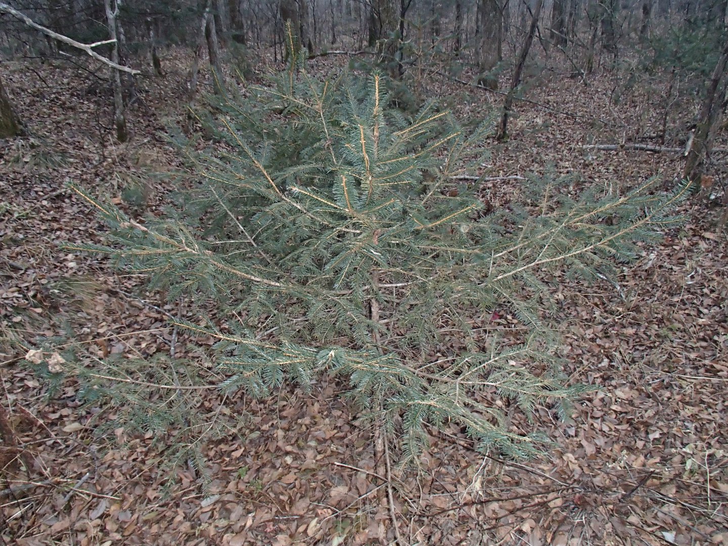 PA190396.JPG