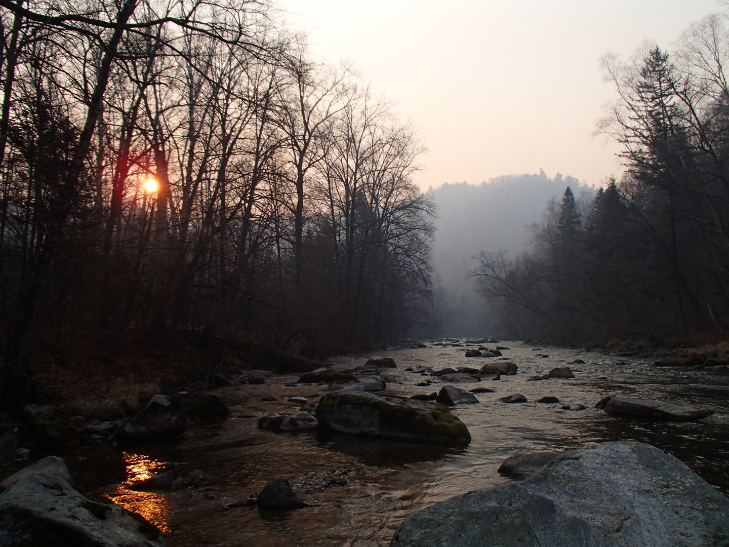 PA190399.JPG