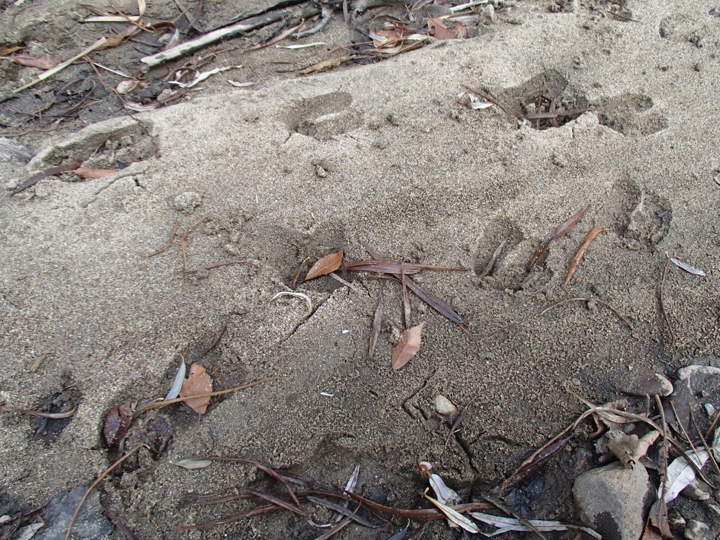 PA190411.JPG