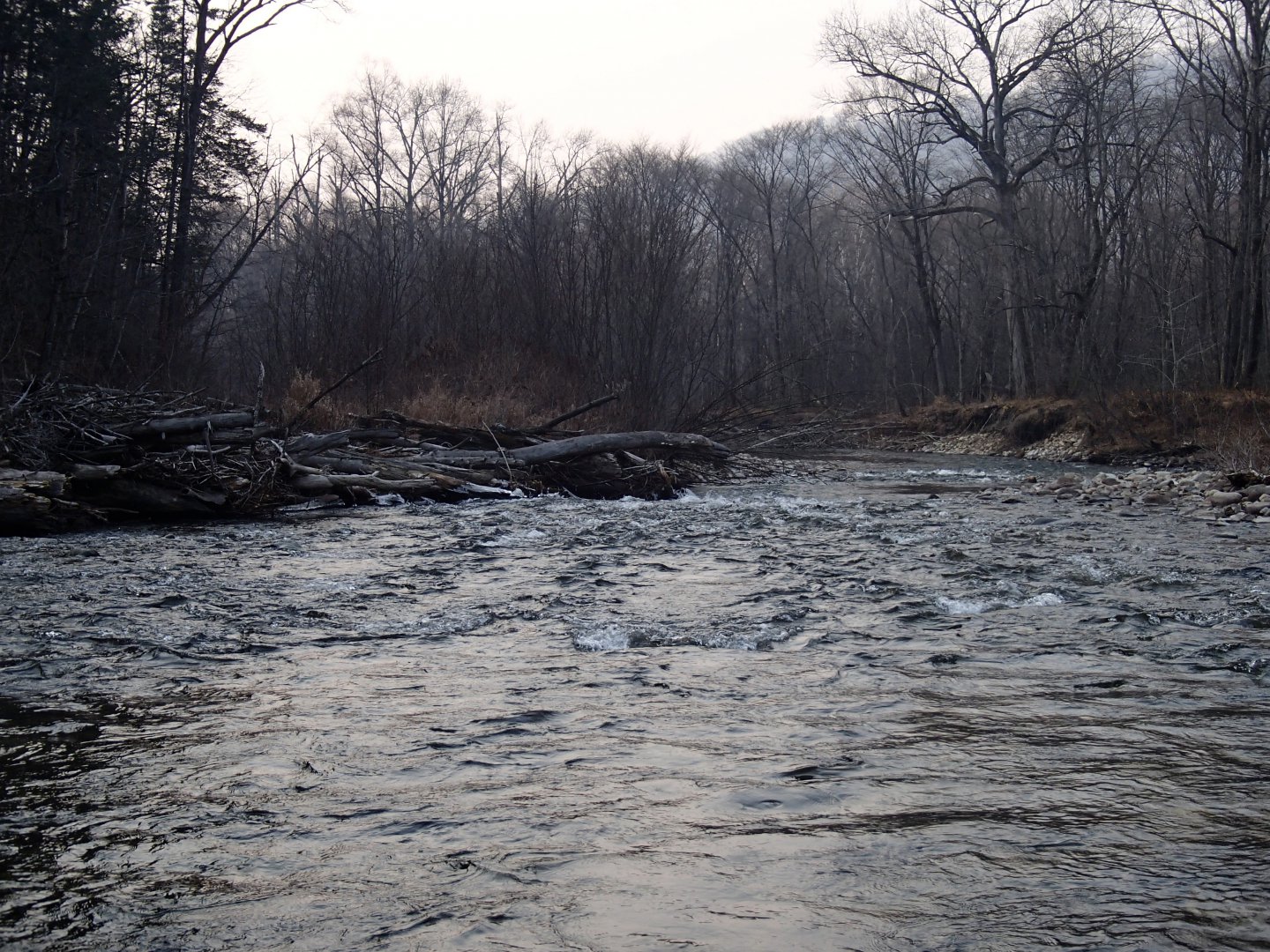 PA190414.JPG