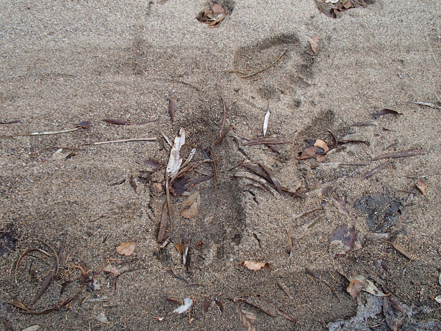 PA190419.JPG