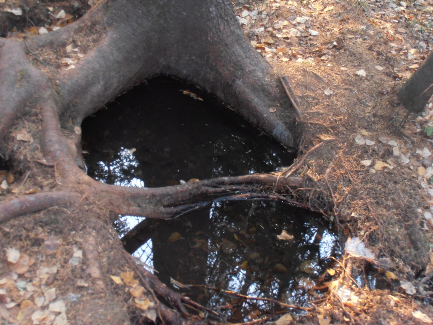 PA190505.JPG