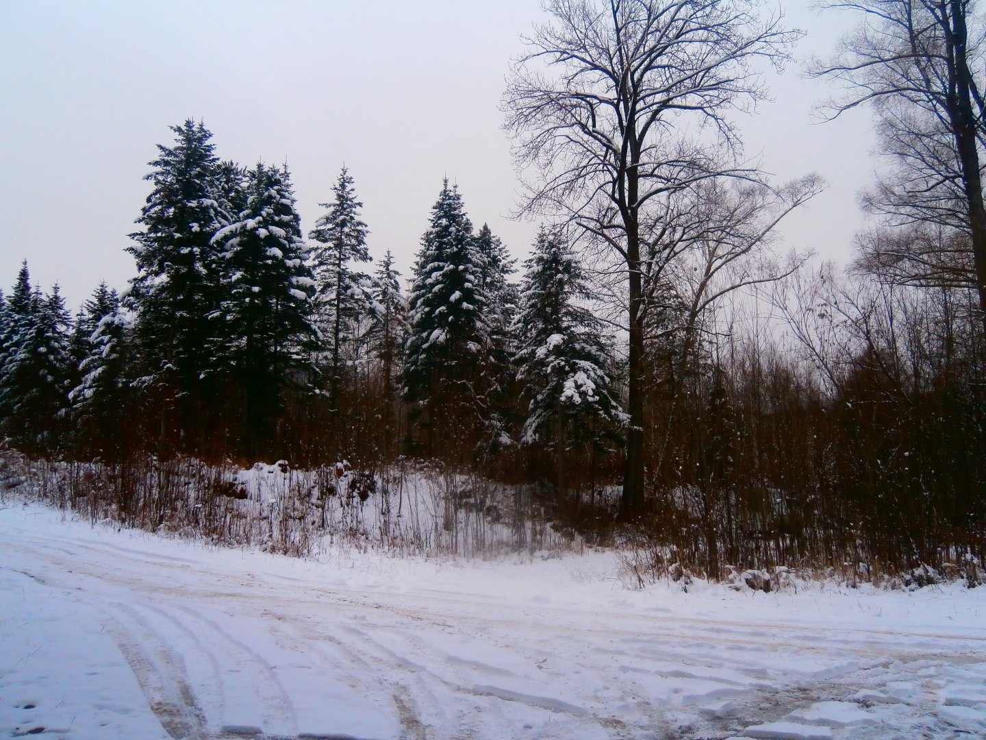PA200120.JPG